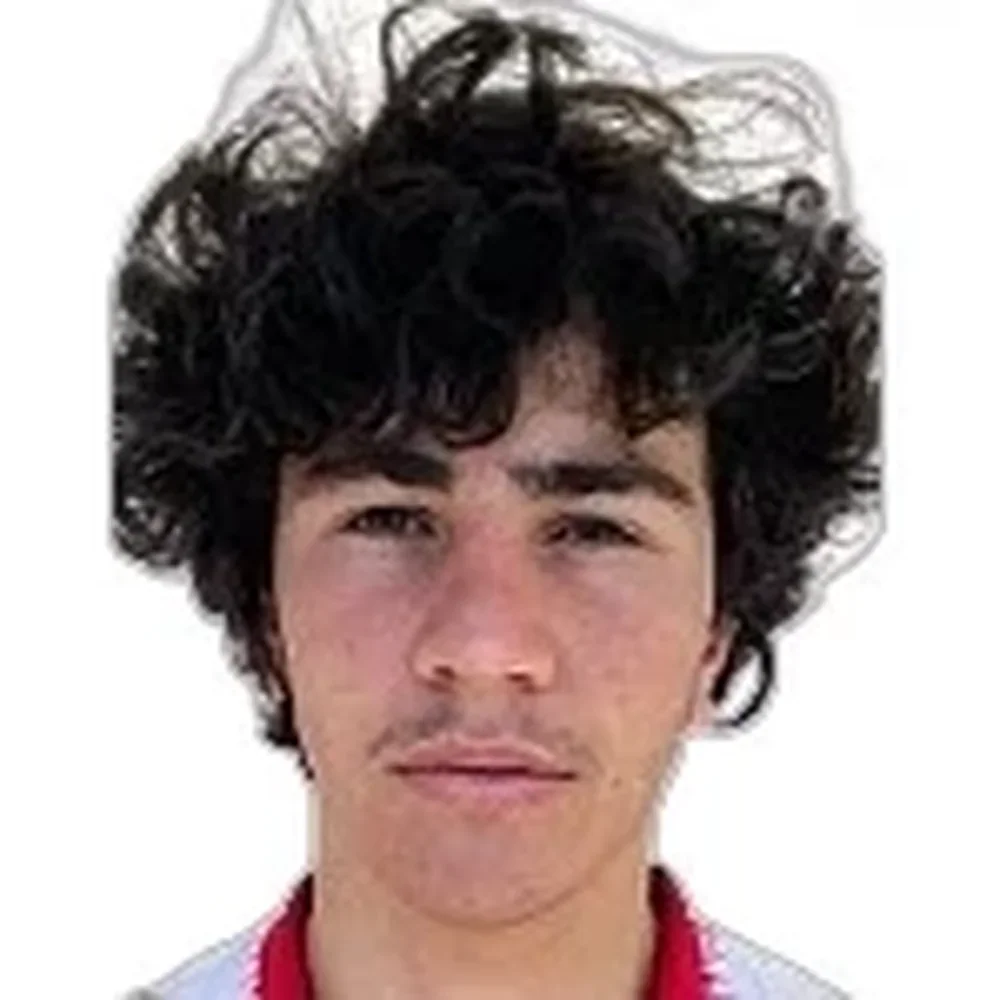 გია ნადარეიშვილი